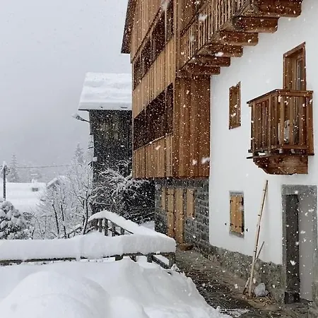 Apartment Ebi Vacation - - Monte Civetta