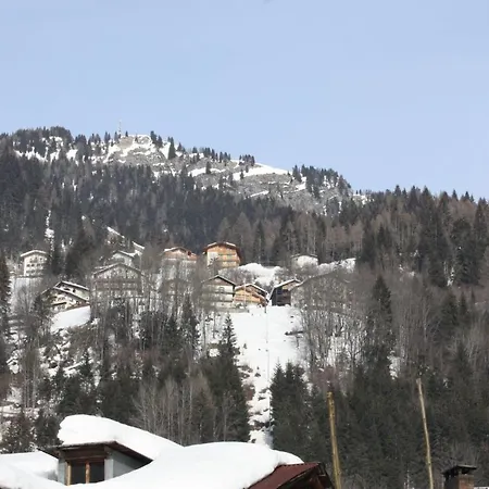 Ebi Vacation - - Monte Civetta